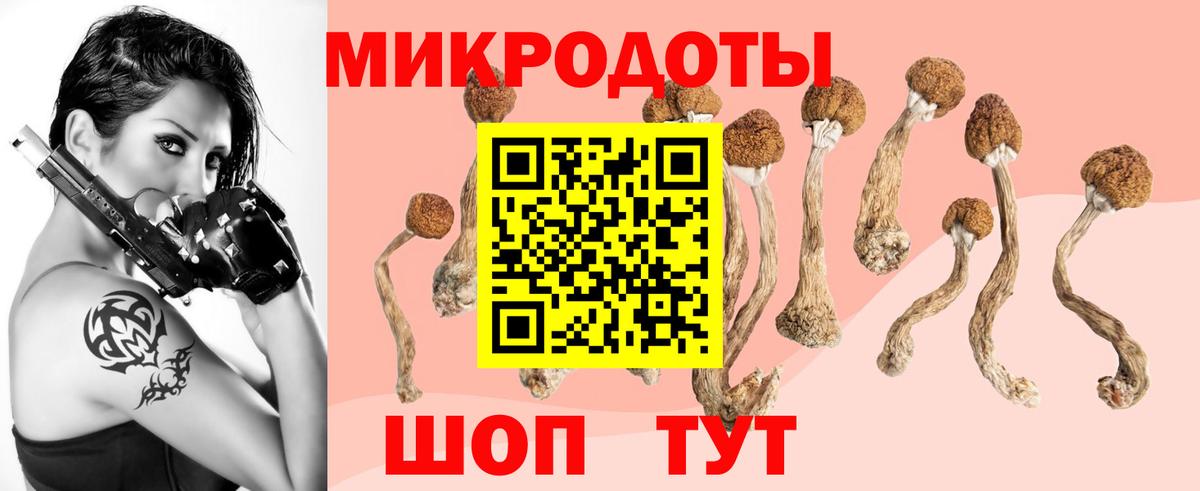 Галлюциногенные грибы Cubensis Звенигород